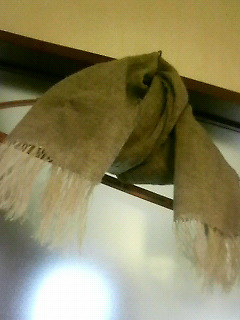 �搶�ǂ��ł��傤���I�I