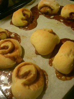 �V�i�������[��