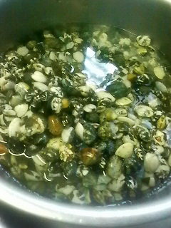 ������茋��