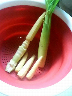 �����O�R�[��