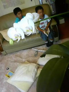 �a�C�×{��(���j)��