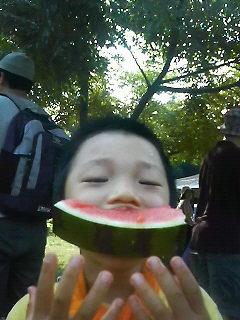 �X�C�J����