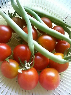 �C���Q�������n