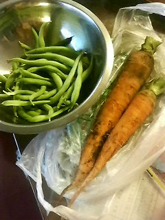 ��������n