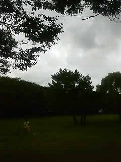 �Z�~�̑升���B