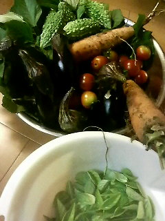 �����̎��n