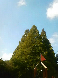 �ג��̉����v�[����