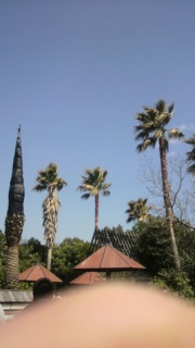 �����͓�����