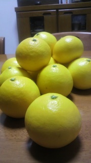 �������킯