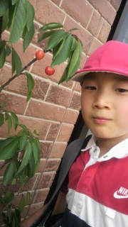 ���Ƃɂ���