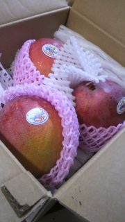 �^���Ԃȃ��r�[