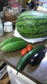 �ӌ�їp�̎��n��