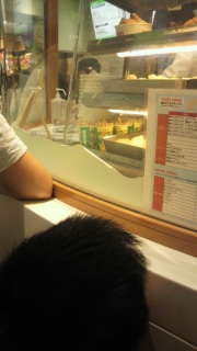 �ł����ă|�e�肱