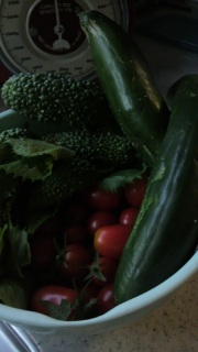 �c�����т����A���������