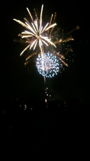 �������̉ԉΑ��