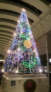 �N�B�[���Y