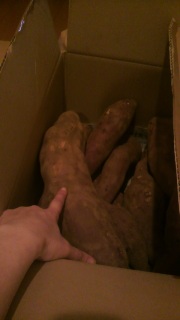 ���A���A��